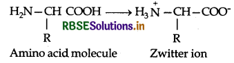 RBSE Solutions for Class 12 Chemistry Chapter 14 Biomolecules 8