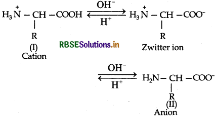 RBSE Solutions for Class 12 Chemistry Chapter 14 Biomolecules 9