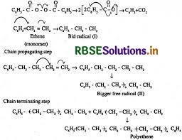 RBSE Solutions for Class 12 Chemistry Chapter 15 Polymers 2