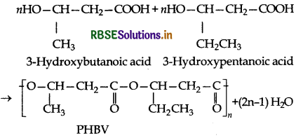 RBSE Solutions for Class 12 Chemistry Chapter 15 Polymers 8