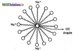 RBSE Solutions for Class 12 Chemistry Chapter 16 Chemistry in Everyday Life 4