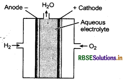 RBSE Class 12 Chemistry Important Questions Chapter 3 Electrochemistry 29
