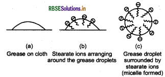 RBSE Class 12 Chemistry Important Questions Chapter 5 Surface Chemistry 17