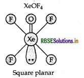 RBSE Class 12 Chemistry Important Questions Chapter 7 The p-Block Elements 25