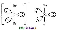 RBSE Class 12 Chemistry Important Questions Chapter 7 The p-Block Elements 41