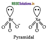 RBSE Class 12 Chemistry Important Questions Chapter 7 The p-Block Elements 42