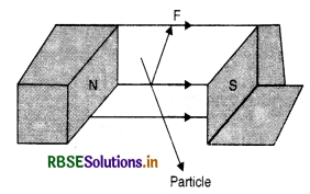 RBSE Class 12 Physics Important Questions Chapter 4 Moving Charges and Magnetism 10
