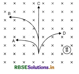 RBSE Class 12 Physics Important Questions Chapter 4 Moving Charges and Magnetism 14