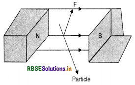RBSE Class 12 Physics Important Questions Chapter 4 Moving Charges and Magnetism 2
