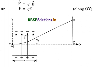 RBSE Class 12 Physics Important Questions Chapter 4 Moving Charges and Magnetism 60