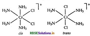RBSE Class 12 Chemistry Important Questions Chapter 9 Coordination Compounds 10