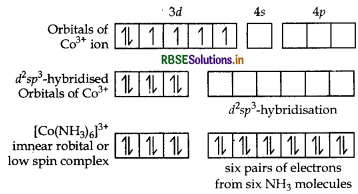 RBSE Class 12 Chemistry Important Questions Chapter 9 Coordination Compounds 28