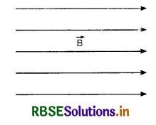 RBSE Class 12 Physics Important Questions Chapter 5 Magnetism and Matter 15