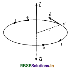 RBSE Class 12 Physics Important Questions Chapter 5 Magnetism and Matter 19