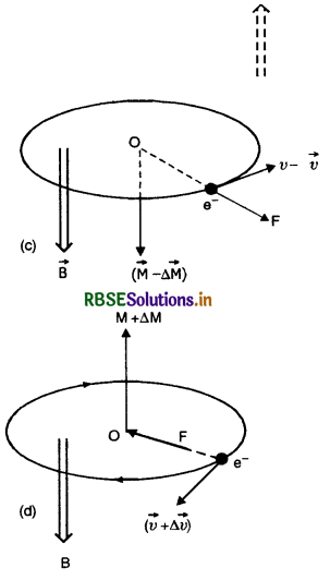 RBSE Class 12 Physics Important Questions Chapter 5 Magnetism and Matter 39