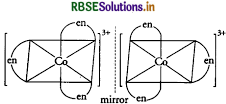 RBSE Class 12 Chemistry Important Questions Chapter 9 Coordination Compounds 39