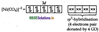 RBSE Class 12 Chemistry Important Questions Chapter 9 Coordination Compounds 55