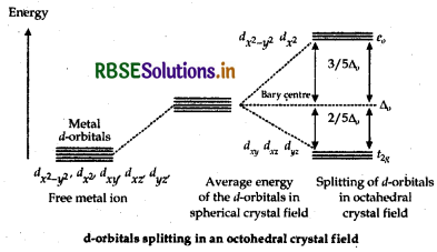 RBSE Class 12 Chemistry Important Questions Chapter 9 Coordination Compounds 60