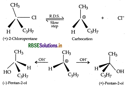RBSE Class 12 Chemistry Important Questions Chapter 10 Haloalkanes and Haloarenes 103