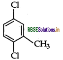 RBSE Class 12 Chemistry Important Questions Chapter 10 Haloalkanes and Haloarenes 33