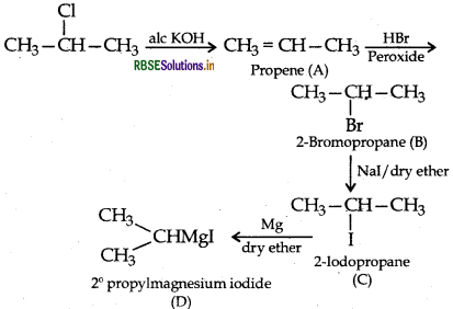 RBSE Class 12 Chemistry Important Questions Chapter 10 Haloalkanes and Haloarenes 124
