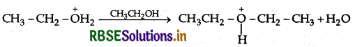 RBSE Class 12 Chemistry Important Questions Chapter 11 Alcohols, Phenols and Ethers110