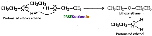 RBSE Class 12 Chemistry Important Questions Chapter 11 Alcohols, Phenols and Ethers44