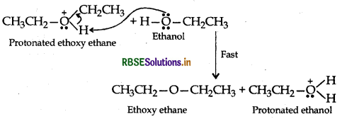 RBSE Class 12 Chemistry Important Questions Chapter 11 Alcohols, Phenols and Ethers81