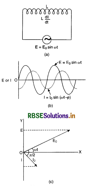 RBSE Class 12 Physics Important Questions Chapter 7 Alternating Current 24