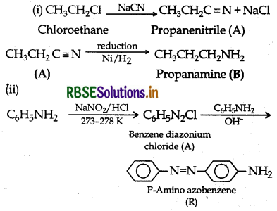 RBSE Class 12 Chemistry Important Questions Chapter 13 Amines 23