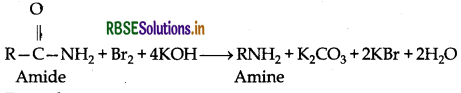RBSE Class 12 Chemistry Important Questions Chapter 13 Amines 43