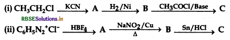 RBSE Class 12 Chemistry Important Questions Chapter 13 Amines 88