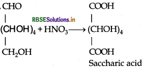 RBSE Class 12 Chemistry Important Questions Chapter 14 Biomolecules 1