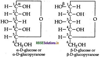 RBSE Class 12 Chemistry Important Questions Chapter 14 Biomolecules 11