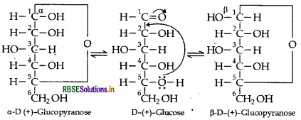 RBSE Class 12 Chemistry Important Questions Chapter 14 Biomolecules 13