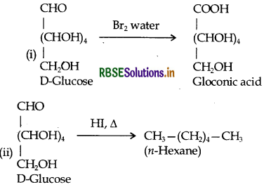 RBSE Class 12 Chemistry Important Questions Chapter 14 Biomolecules 16