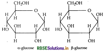 RBSE Class 12 Chemistry Important Questions Chapter 14 Biomolecules 17