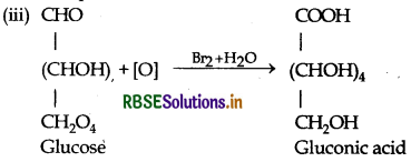 RBSE Class 12 Chemistry Important Questions Chapter 14 Biomolecules 20