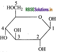 RBSE Class 12 Chemistry Important Questions Chapter 14 Biomolecules 33