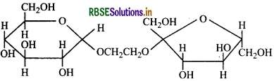 RBSE Class 12 Chemistry Important Questions Chapter 14 Biomolecules 34