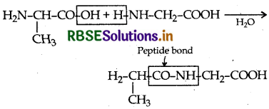 RBSE Class 12 Chemistry Important Questions Chapter 14 Biomolecules 6