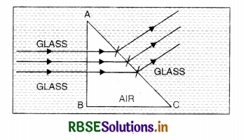 RBSE Class 12 Physics Important Questions Chapter 9 Ray Optics and Optical Instruments 10