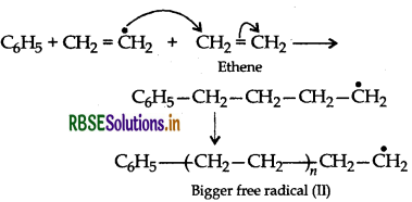RBSE Class 12 Chemistry Important Questions Chapter 15 Polymers 42