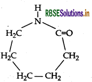RBSE Class 12 Chemistry Important Questions Chapter 15 Polymers 49