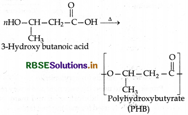 RBSE Class 12 Chemistry Important Questions Chapter 15 Polymers 59