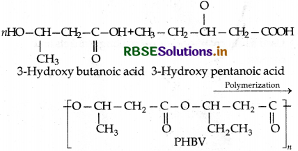 RBSE Class 12 Chemistry Important Questions Chapter 15 Polymers 60