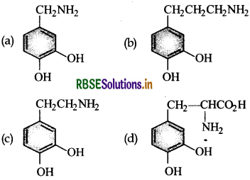 RBSE Class 12 Chemistry Important Questions Chapter 16 Chemistry in Everyday Life 12