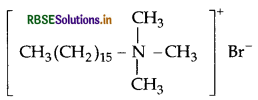 RBSE Class 12 Chemistry Important Questions Chapter 16 Chemistry in Everyday Life 6
