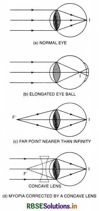 RBSE Class 12 Physics Important Questions Chapter 9 Ray Optics and Optical Instruments 114