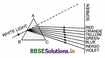 RBSE Class 12 Physics Important Questions Chapter 9 Ray Optics and Optical Instruments 91